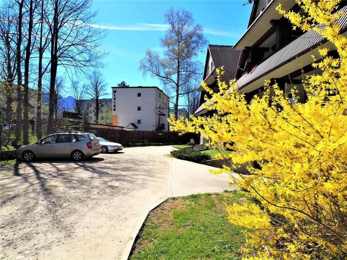Vip Apartamenty Centrum Przy Rowni Zakopane Bagian luar foto